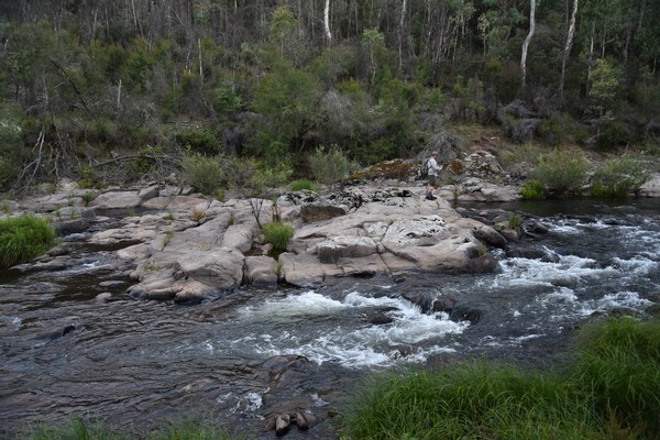 TROUT FISHING TOURS - RIVER ESCAPES FOR 2016